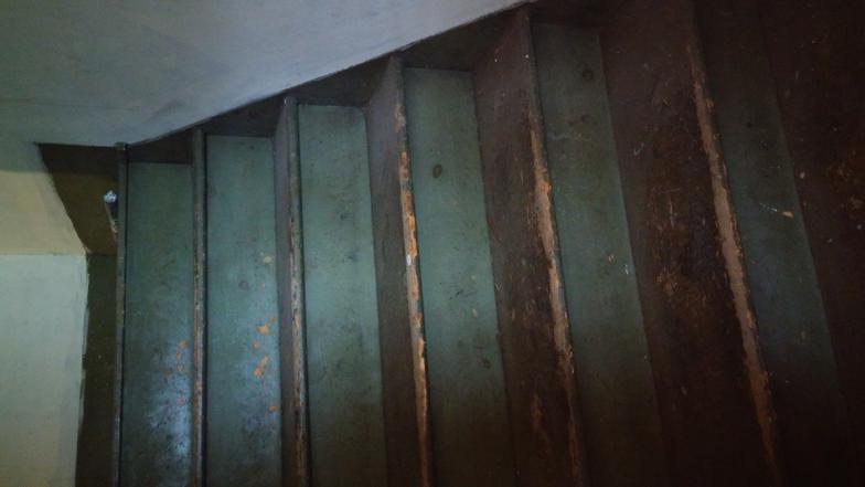 lead paint stair risers